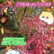 ヒメ日記 2025/11/18 13:31 投稿 みゆ 熟女の風俗最終章 蒲田店