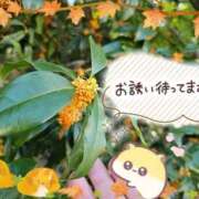 ヒメ日記 2025/11/18 13:37 投稿 みゆ 熟女の風俗最終章 蒲田店