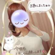 ヒメ日記 2025/11/18 14:30 投稿 みゆ 熟女の風俗最終章 蒲田店