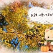 ヒメ日記 2025/11/19 13:50 投稿 みゆ 熟女の風俗最終章 蒲田店