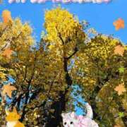 ヒメ日記 2025/11/24 03:00 投稿 みゆ 熟女の風俗最終章 蒲田店