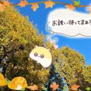 ヒメ日記 2025/11/24 16:30 投稿 みゆ 熟女の風俗最終章 蒲田店