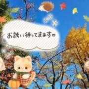 ヒメ日記 2025/11/27 13:56 投稿 みゆ 熟女の風俗最終章 蒲田店