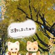 ヒメ日記 2025/11/27 14:21 投稿 みゆ 熟女の風俗最終章 蒲田店