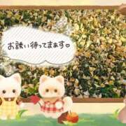 ヒメ日記 2025/11/28 13:50 投稿 みゆ 熟女の風俗最終章 蒲田店