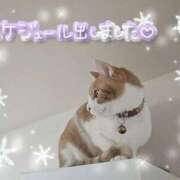 ヒメ日記 2026/01/14 19:50 投稿 みゆ 熟女の風俗最終章 蒲田店