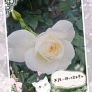 みゆ これから出勤いたします。🍀 熟女の風俗最終章 蒲田店