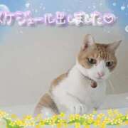 ヒメ日記 2026/01/18 22:50 投稿 みゆ 熟女の風俗最終章 蒲田店