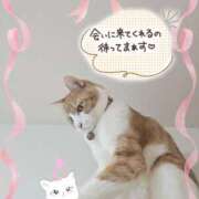 ヒメ日記 2026/01/21 14:30 投稿 みゆ 熟女の風俗最終章 蒲田店