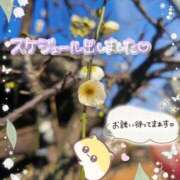 ヒメ日記 2026/02/05 23:00 投稿 みゆ 熟女の風俗最終章 蒲田店