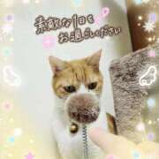 ヒメ日記 2026/02/08 15:28 投稿 みゆ 熟女の風俗最終章 蒲田店