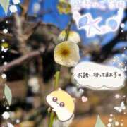 ヒメ日記 2026/02/09 16:59 投稿 みゆ 熟女の風俗最終章 蒲田店