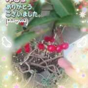 ヒメ日記 2026/02/10 02:40 投稿 みゆ 熟女の風俗最終章 蒲田店