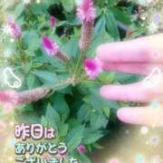 ヒメ日記 2026/02/10 03:00 投稿 みゆ 熟女の風俗最終章 蒲田店