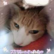 ヒメ日記 2026/02/11 21:05 投稿 みゆ 熟女の風俗最終章 蒲田店