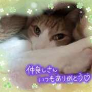 ヒメ日記 2026/02/13 15:00 投稿 みゆ 熟女の風俗最終章 蒲田店