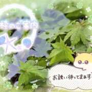 ヒメ日記 2026/02/13 15:09 投稿 みゆ 熟女の風俗最終章 蒲田店