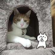 ヒメ日記 2026/02/15 17:30 投稿 みゆ 熟女の風俗最終章 蒲田店