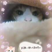 ヒメ日記 2026/02/17 14:20 投稿 みゆ 熟女の風俗最終章 蒲田店