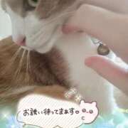 ヒメ日記 2026/02/19 16:52 投稿 みゆ 熟女の風俗最終章 蒲田店