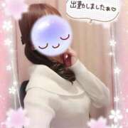 ヒメ日記 2026/02/19 18:20 投稿 みゆ 熟女の風俗最終章 蒲田店