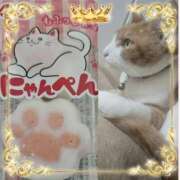 ヒメ日記 2026/02/22 22:00 投稿 みゆ 熟女の風俗最終章 蒲田店