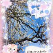 ヒメ日記 2026/02/23 15:00 投稿 みゆ 熟女の風俗最終章 蒲田店