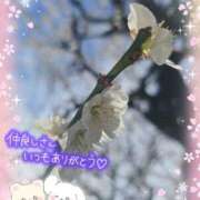 ヒメ日記 2026/02/23 15:20 投稿 みゆ 熟女の風俗最終章 蒲田店