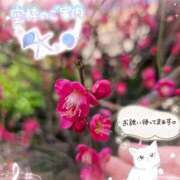 ヒメ日記 2026/02/24 15:52 投稿 みゆ 熟女の風俗最終章 蒲田店