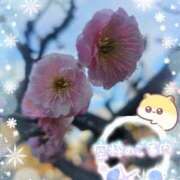 ヒメ日記 2026/02/25 17:50 投稿 みゆ 熟女の風俗最終章 蒲田店