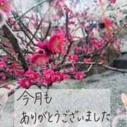 ヒメ日記 2026/02/28 22:58 投稿 みゆ 熟女の風俗最終章 蒲田店