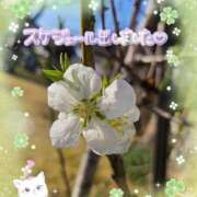 ヒメ日記 2026/03/07 21:50 投稿 みゆ 熟女の風俗最終章 蒲田店