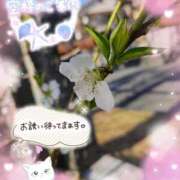 ヒメ日記 2026/03/08 15:55 投稿 みゆ 熟女の風俗最終章 蒲田店