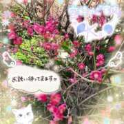 ヒメ日記 2026/03/08 17:00 投稿 みゆ 熟女の風俗最終章 蒲田店