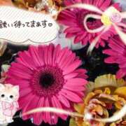 ヒメ日記 2026/03/09 16:50 投稿 みゆ 熟女の風俗最終章 蒲田店