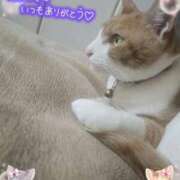 ヒメ日記 2026/03/09 17:59 投稿 みゆ 熟女の風俗最終章 蒲田店