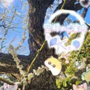 ヒメ日記 2026/03/09 18:00 投稿 みゆ 熟女の風俗最終章 蒲田店