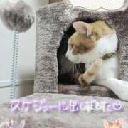 ヒメ日記 2026/03/10 20:52 投稿 みゆ 熟女の風俗最終章 蒲田店