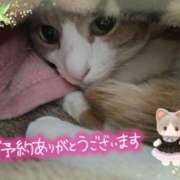 ヒメ日記 2026/03/11 14:50 投稿 みゆ 熟女の風俗最終章 蒲田店