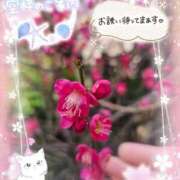 ヒメ日記 2026/03/11 14:55 投稿 みゆ 熟女の風俗最終章 蒲田店