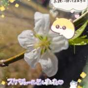 ヒメ日記 2026/03/14 21:13 投稿 みゆ 熟女の風俗最終章 蒲田店