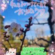 ヒメ日記 2026/03/15 16:10 投稿 みゆ 熟女の風俗最終章 蒲田店