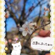 ヒメ日記 2026/03/15 17:10 投稿 みゆ 熟女の風俗最終章 蒲田店