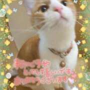 ヒメ日記 2026/03/17 15:50 投稿 みゆ 熟女の風俗最終章 蒲田店