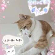 ヒメ日記 2026/03/17 15:56 投稿 みゆ 熟女の風俗最終章 蒲田店