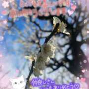 ヒメ日記 2026/03/19 14:40 投稿 みゆ 熟女の風俗最終章 蒲田店