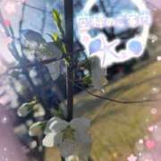 ヒメ日記 2026/03/19 14:49 投稿 みゆ 熟女の風俗最終章 蒲田店