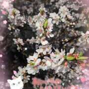 ヒメ日記 2026/03/22 15:51 投稿 みゆ 熟女の風俗最終章 蒲田店