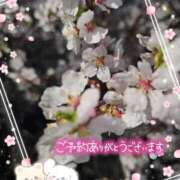 ヒメ日記 2026/03/22 15:57 投稿 みゆ 熟女の風俗最終章 蒲田店