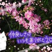 ヒメ日記 2026/03/22 16:02 投稿 みゆ 熟女の風俗最終章 蒲田店